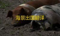 海景出国翻译
