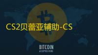 CS2贝蕾亚辅助-CS2全功能稳定透视贝蕾亚工具